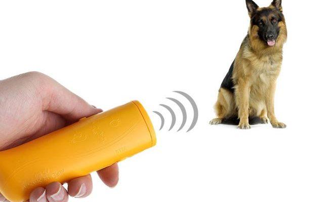 Meilleurs répulsifs pour chiens Meilleurs répulsifs pour chiens