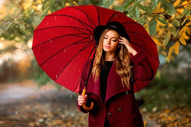 Meilleurs parapluies de cannes Meilleurs parapluies de cannes