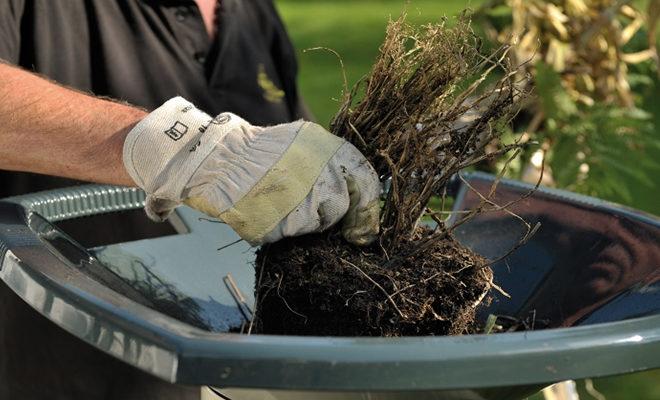 Meilleurs broyeurs de branches Meilleurs broyeurs de branches