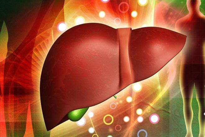Les meilleurs médicaments pour le foie Les meilleurs médicaments pour le foie