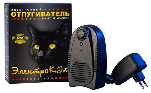 Chat électro