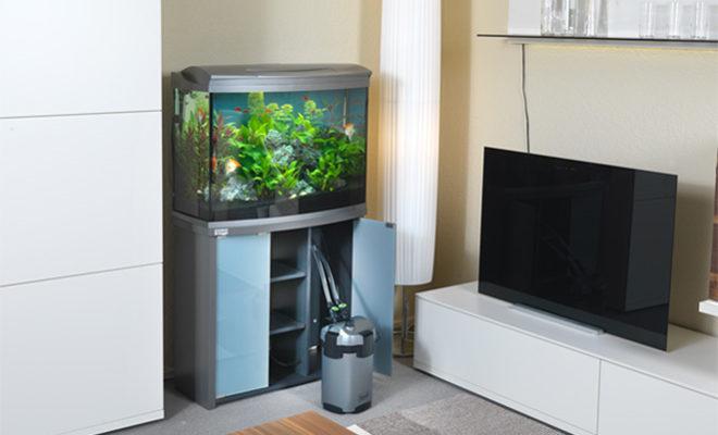 Meilleurs filtres pour aquarium Meilleurs filtres pour un aquarium