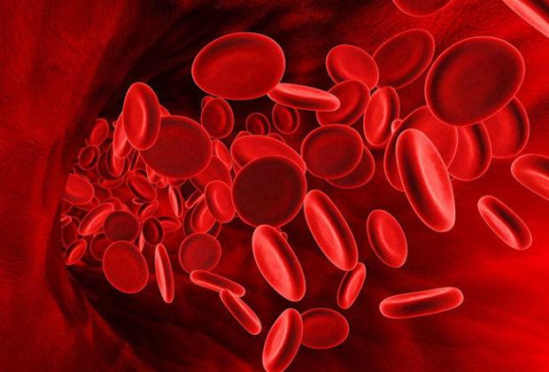 Les meilleurs médicaments pour augmenter l'hémoglobine Les meilleurs médicaments pour augmenter l'hémoglobine