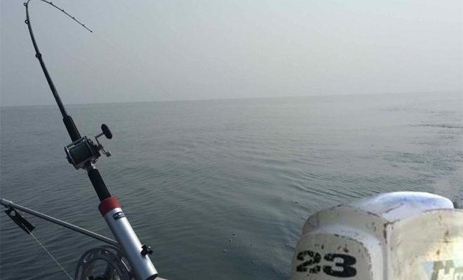 Les meilleures cannes spinning pour la pêche à la traîne Les meilleures cannes spinning pour la pêche à la traîne