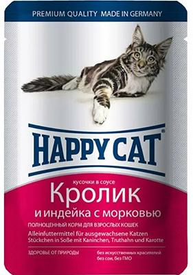 Chat heureux avec lapin, dinde et carotte