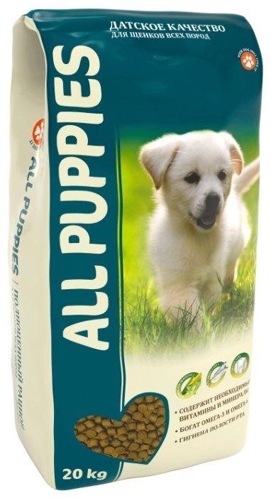 Tous les chiots